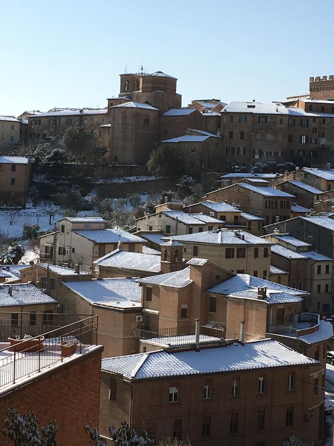 B&B Le Lupe Siena Buitenkant foto