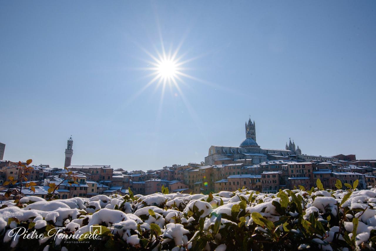 B&B Le Lupe Siena Buitenkant foto